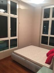 Thomson Vale (D11), Apartment #155814482